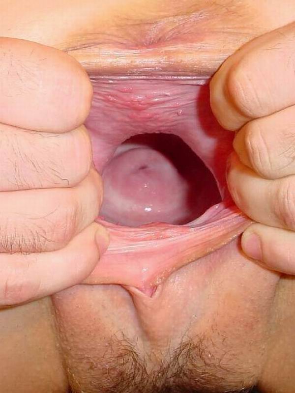 View Inside A Pussy 59