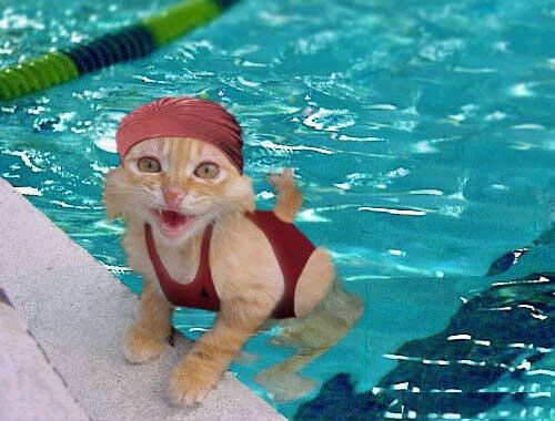 wet pussy