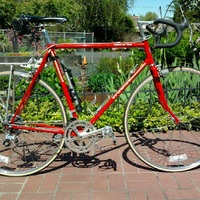 Another old  Schwinn from my collection.
