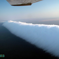 Morning Glory, northern Australia