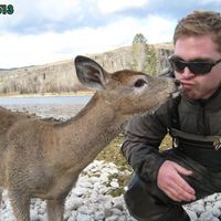 Oh Deer