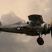 Glochester Gladiator