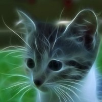 fractalius filter2