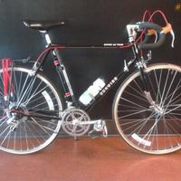 My 1981 Schwinn, fully restored.