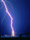 Lightning hitting a tree