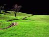 Black and Green - Monte Amiata, Italy