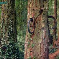 Bike - Found