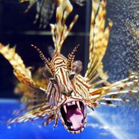 COME ON IN...I DARE YA!
