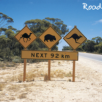 Camel road sign