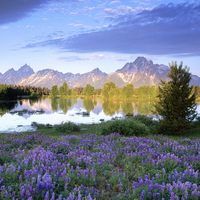 my future back yard