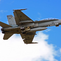 Hornet