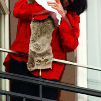 michael-jackson-kitten-bin