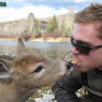 Oh Deer