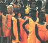 Without white genes there is not much improvement in beauty