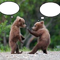 Baby bears...
