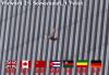 USA goes for GOLD!