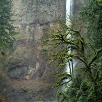 The falls