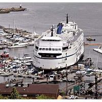 get your fat ass outta our marina