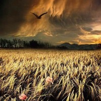 Before a storm