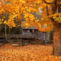 Falls Splendor