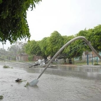 Wind damage