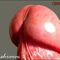 a mushroom