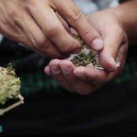 Marijuana for multiple sclerosis, muscle, joint pain