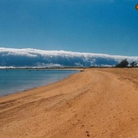 Dont panic, just a Morning Glory