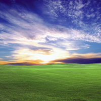windoze