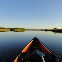 My morning canoe cruise