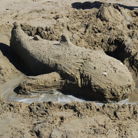 Sandcastle my 10yr old son made