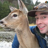 Oh Deer