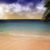 paradise