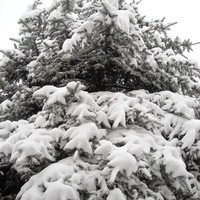 snow...