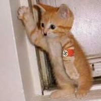 Kitler
