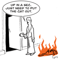 How do you make a cat go 