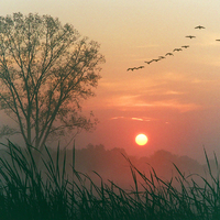 AUTUMN DAWN