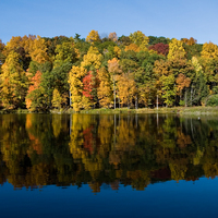 Autumn by the lake