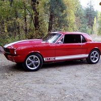 WTF Mustang...