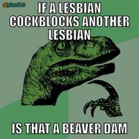 Lesbian Cock Blocker
