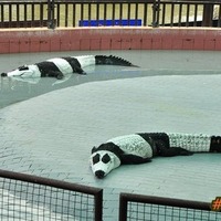 pandagators