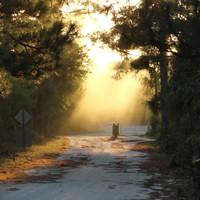 Good morning!
