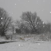 3-21-10 Crisp spring morning in Texas :>P