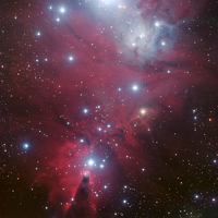 Hubble's newest shot of the Christmas Tree Cluster