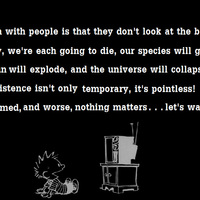 THE BIG PICTURE