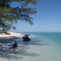 Gasparilla Island