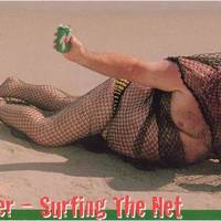Surfing The Net
