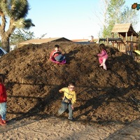 Kids and a pile of horseshit
