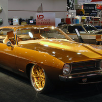 Terracuda