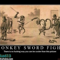Dance Monkey Dance